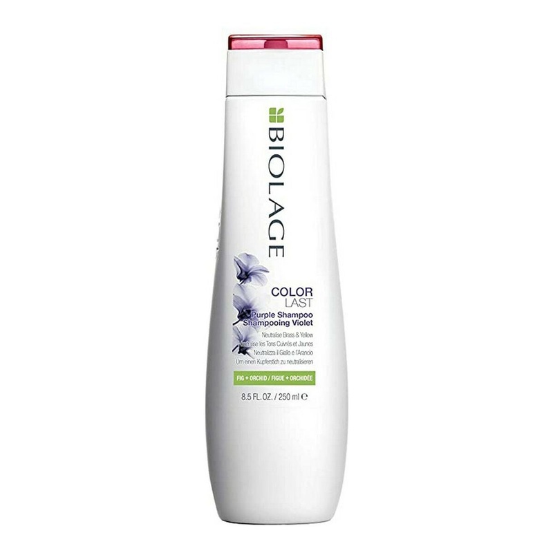 Shampoo Colorlast Biolage E2978700 Purple 250 ml