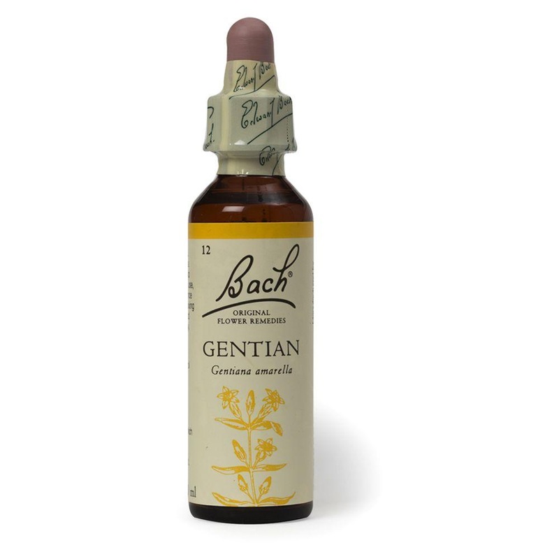 Original Flower Remedy Gentian Dropper 20MlFlower Essence