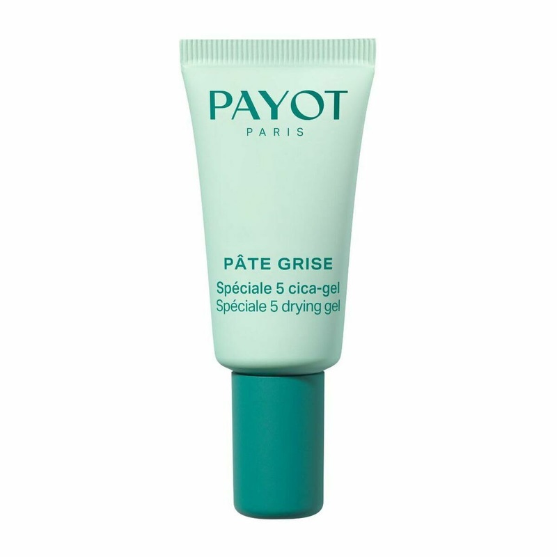 Day Cream Payot PTE GRISE 15 ml