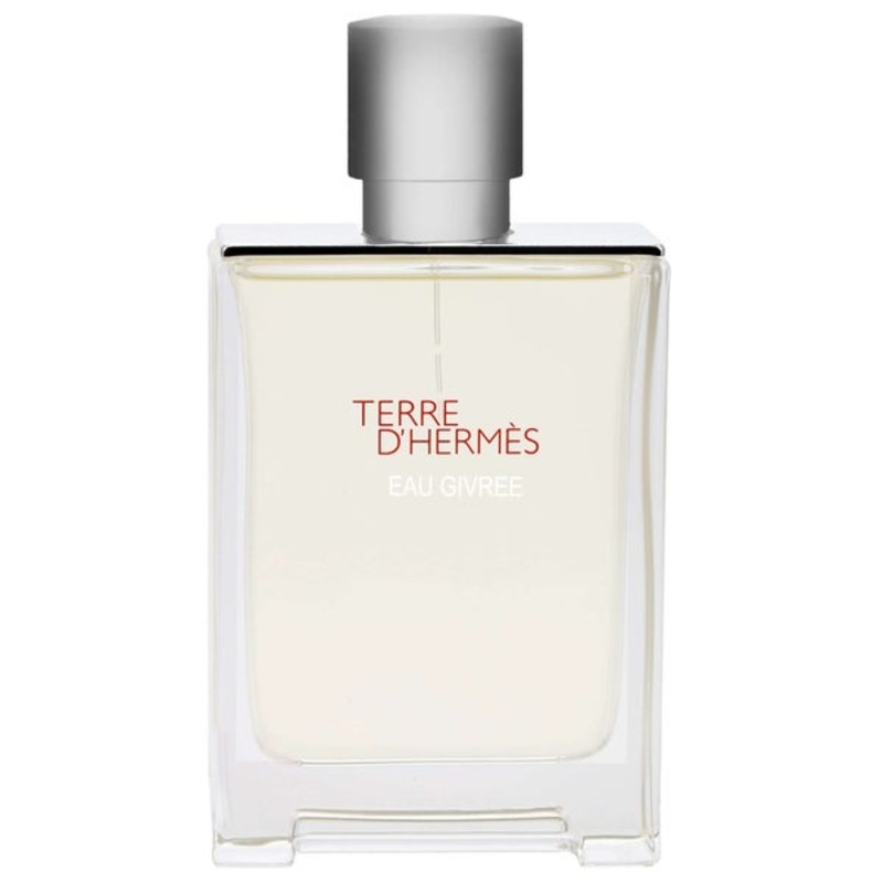 Herms Terre d’Herms Eau Givre Eau de Parfum Spray 100ml