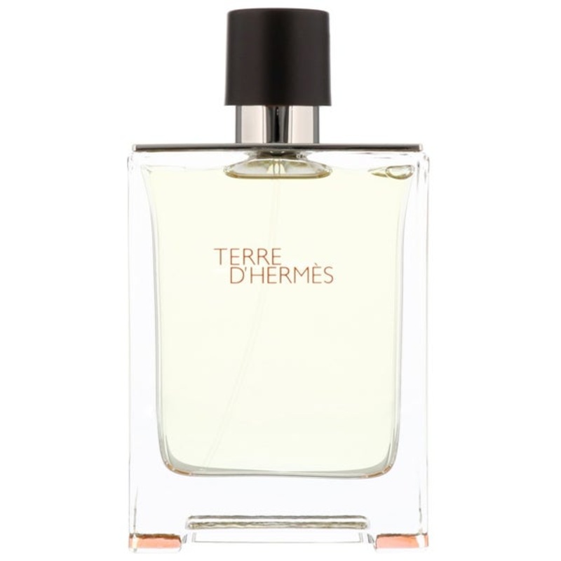 Herms Terre dHerms Eau de Toilette Spray 100ml