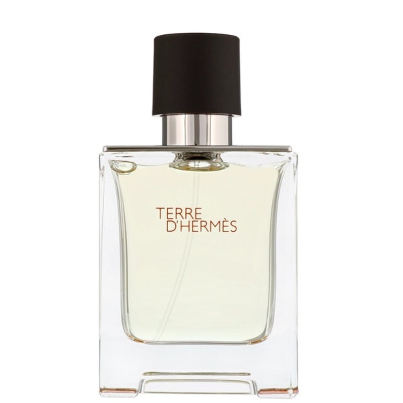 Herms Terre dHerms Eau de Toilette Spray 50ml