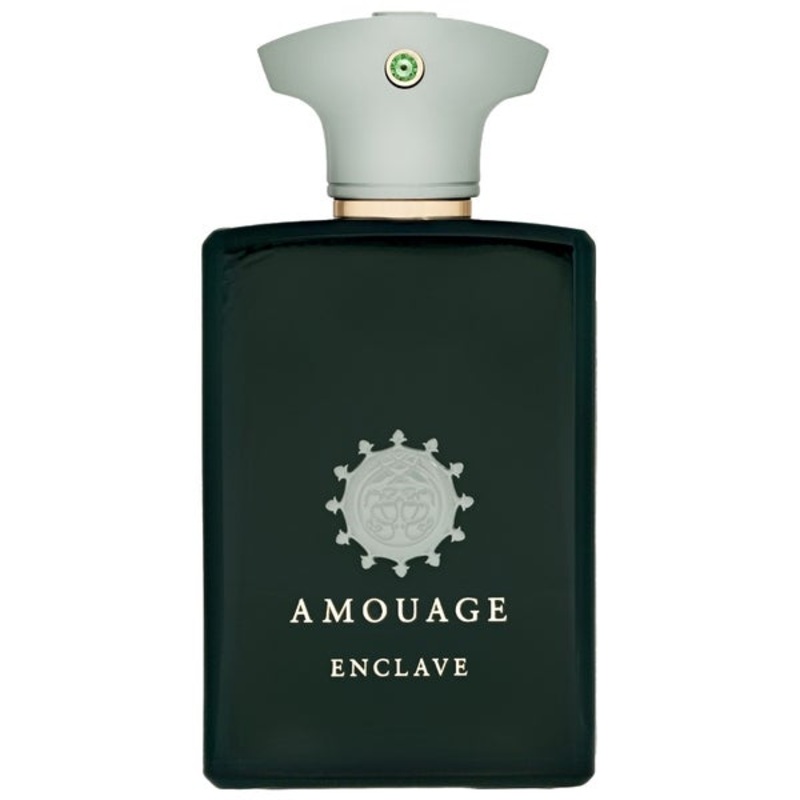 Amouage Enclave Eau de Parfum Spray 100ml
