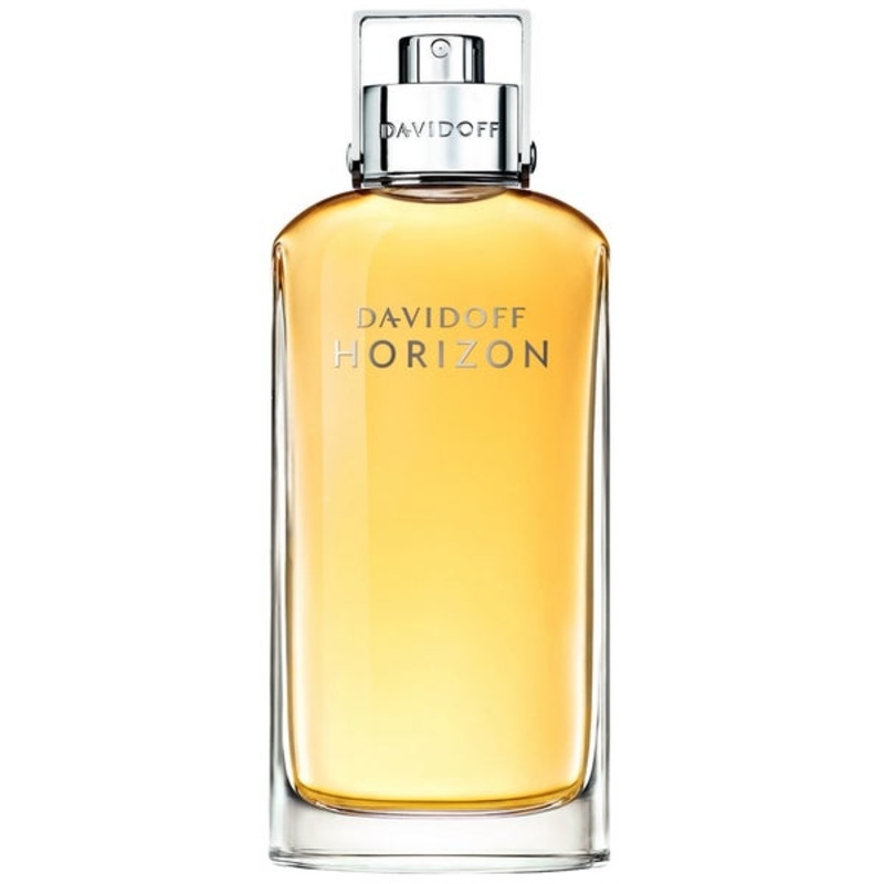 Davidoff Horizon Eau de Toilette Spray 125ml